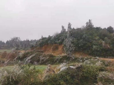 惊艳！砚山一大波冬日美图上线
