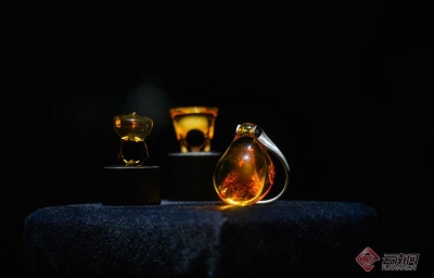 【高清组图】国内最大规模琥珀展 “琥珀——波兰民族文化之魂”亮相云南省博物馆