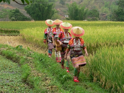 玉溪非遗 | 穿在身上的艺术，写在身上的历史——花腰傣服饰