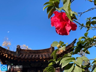 2月1日起，昆明市金殿名胜区门票价格恢复原价