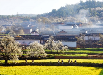 【大理100文旅网红打卡地】秘境村落篇