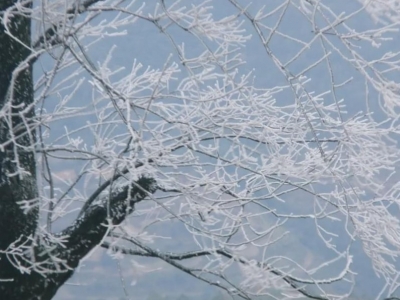 玉溪洼垤的“雪”下得那么认真，你确定不来看看？