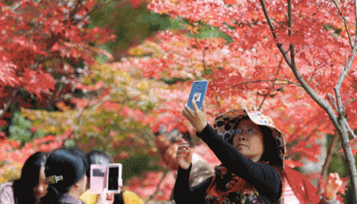 这份答卷，很“云南”