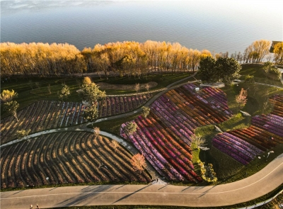 2021第一天，看看大理有哪些好玩！