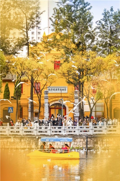 昆明的冬天  比阳光更治愈的是……