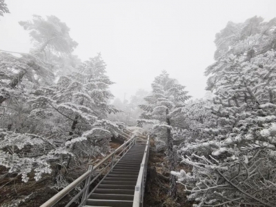 2021年的第一场雪，终于等到你！