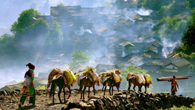 【大理100文旅网红打卡地】秘境村落篇