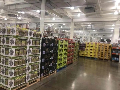云品出滇受热捧 云南高原特色农产品在美国商超热销