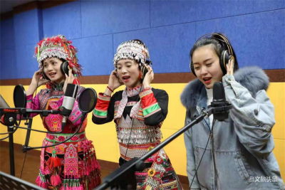 新平县乡村大舞台掀起爱国卫生“七个专项行动”小高潮