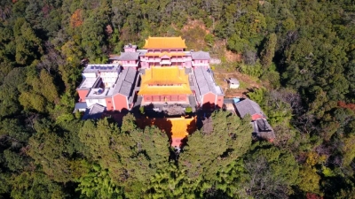 宾川鸡足山虚云寺的百年古梅开啦！约吗？