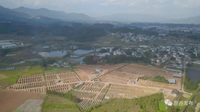 【关注】全省唯一！云南这个园区获评国家级绿色产业示范基地