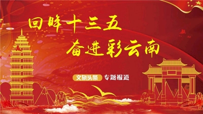 【回眸十三五，奋进彩云南】 云南导游协会全力打造优质导游队伍 把云南故事讲给世界听