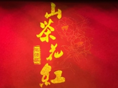 【唱响玉溪花灯】大型革命历史题材花灯剧《山茶花红》花开碟围