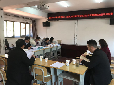 玉溪市文旅局对红塔区文化馆第五次全国文化馆评估定级及总分馆制建设进行检查评估