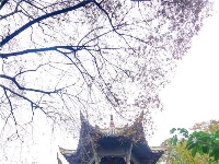 图集丨早发白帝寻旧事 三峡故事始夔门