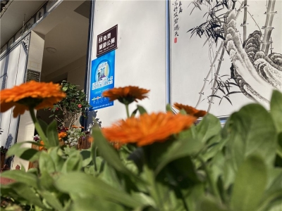 大理洱源：“花园音乐厕所”让景区靓起来！