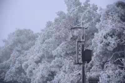 雪景正当时，来鸡足山与美景相遇！