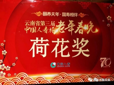 大理老年大学在全国新时代老年大学研讨会上亮“三牛精神”