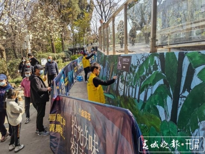 亚洲象走上“墙”成景观！昆明动物园大象馆27米文创墙绘画亮点多多……