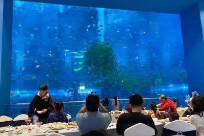 春节假期大理州文旅市场安全文明祥和有序 旅游强劲复苏