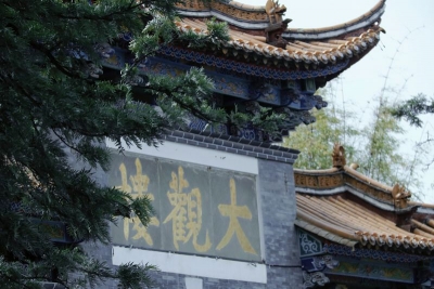 春到大观 邂逅一场多样花事