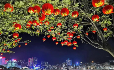 就地过年别样精彩，红河文旅干货满满！