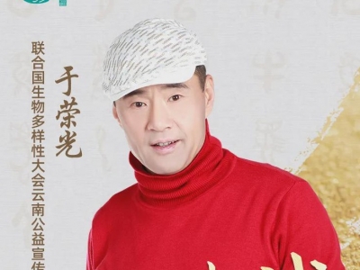 喜迎COP15！群星拜大年！