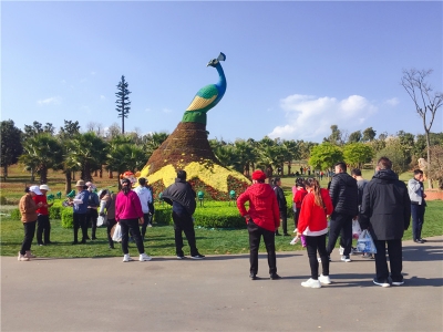 假期相约太平湖 美食美景尽享春日美好
