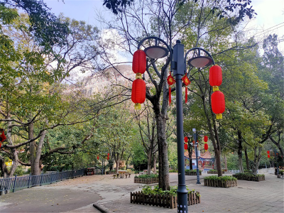 贡献景区力量，助力开远“创建全国文明城市”