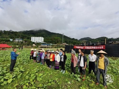 脱贫攻坚的云南答卷丨临沧：开拓创新干在实处