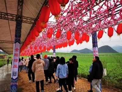 春节假日旅游投诉量下降，平均办结不到1小时！云南各州市积极维护游客权益！