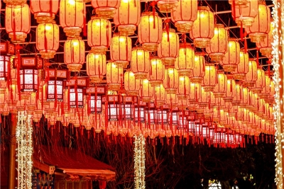 千灯万盏 海鸥节点亮翠湖