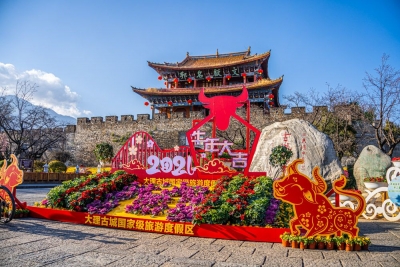春节在大理古城  邂逅两万盆鲜花妆点的浪漫！
