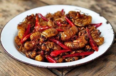 在玉溪通海，正是一个“好吃”的季节！