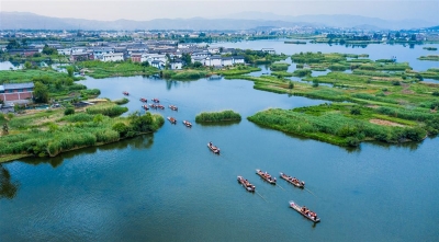 世界湿地日丨春节来大理 带你去看湿地之美