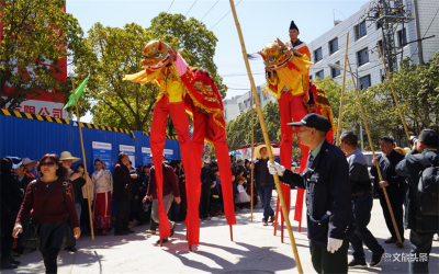 视频直播家乡年 | 玉溪通海高台、高跷舞狮吸引4万名观众云上品年味儿