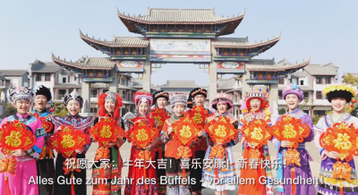红河州少数民族同胞与中国驻杜塞尔多夫总领馆青年外交官“云端贺新春”！