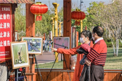 赏美景、看鸟片 开远这个展览吸引近10万人来参观