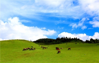 临沧：把乡村旅游打造成云南旅游新名片