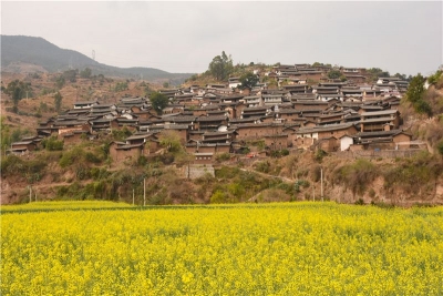 “云旅游”走进永仁传统村落 寻找“向往的生活”