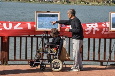 赏美景、看鸟片 开远这个展览吸引近10万人来参观