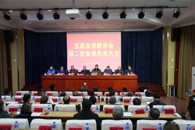 玉溪市诗联学会完成换届选举