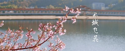 玉溪市易门县：水城无处不飞花