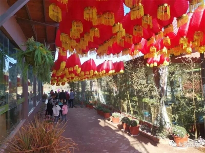 新业态满足游客多元化需求 春节期间玉溪市红塔区接待游客超70万人次