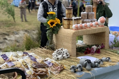 就地过年，怎么过？来华侨城感受不一样的春城年味！