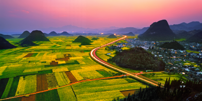 来罗平赴一场花的盛宴 春日的盛会