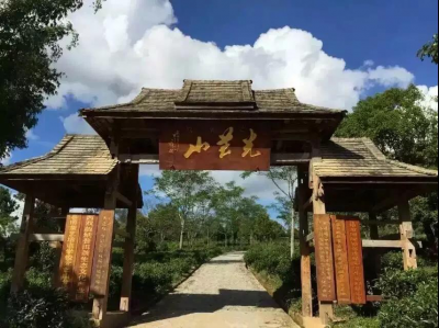 吹响乡村振兴集结号 昆明文旅中心携手茶产业园做大文旅融合生态圈