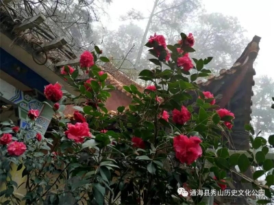 【过年在玉溪】喜迎新春 ！相约到通海秀山踏春赏花、登高祈福
