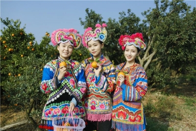 “云旅游”带你走进永仁阳光城 开启果香探鲜之旅