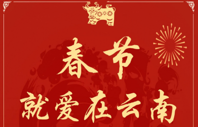 春节在云南过大年最新政策，持续更新！